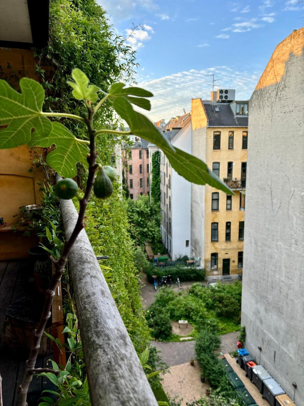 Unbeatable Cph Location - Local With Sunny Terrace Copenhague