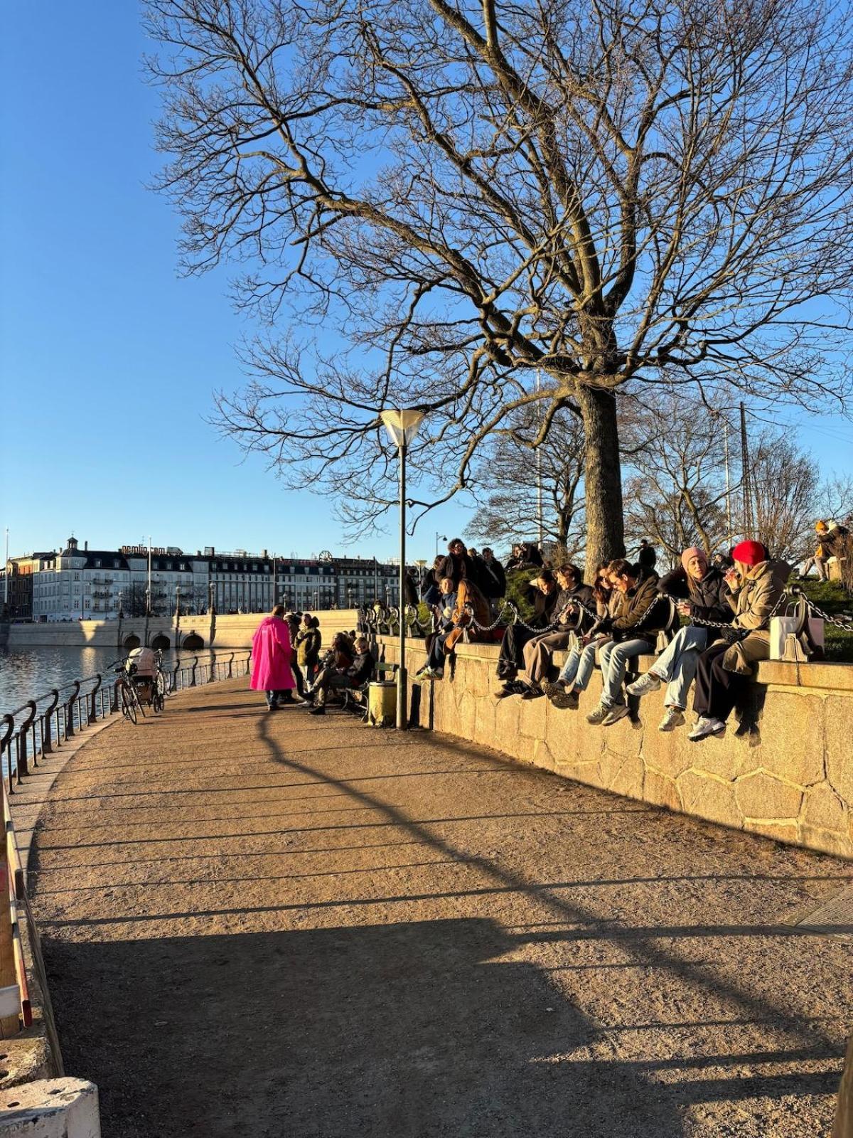 Unbeatable Cph Location - Local With Sunny Terrace Copenhague